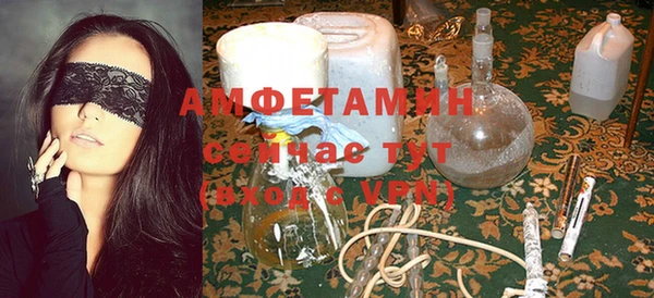 ешки Алексин