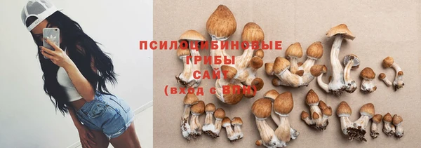 ешки Алексин