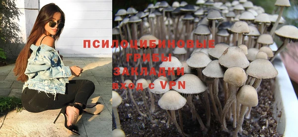 ешки Алексин