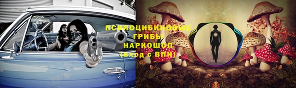 прущие крисы Алзамай